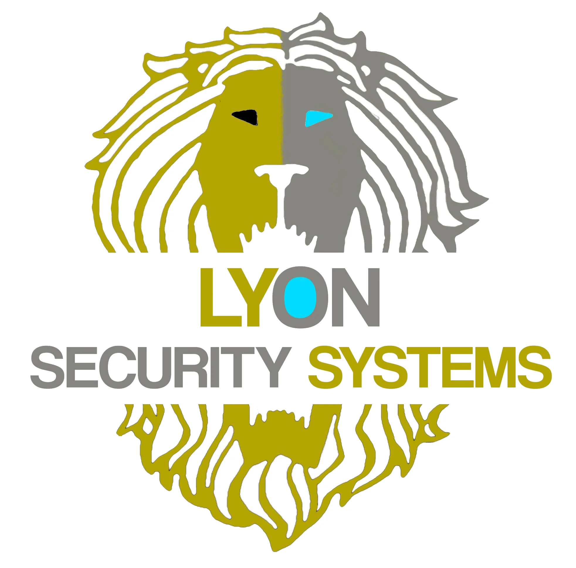 Lyon Security Systems